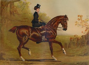 Op Weg naar de Dekking - Een Portret, c1879