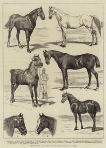 Schetsen op de Islington Paardenshow