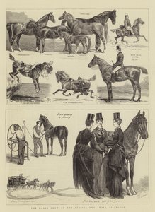 De Paardenshow in de Agricultural Hall, Islington