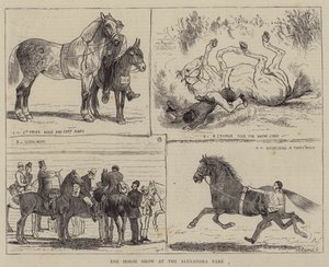 De Paardenshow in het Alexandra Park door Alfred Chantrey Corbould