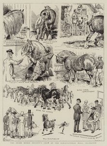 De show van de Shire Horse Society in de Agricultural Hall, Islington