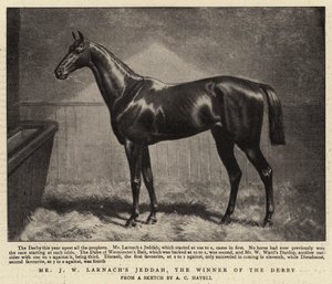 De heer J W Larnachs Jeddah, de winnaar van de Derby