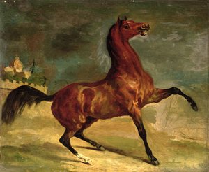 Een Paard in een Landschap