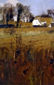 Landschap in de open lucht