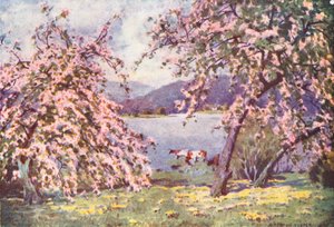 Lake District: Esthwaite Water, Appelbloesem door Alfred Heaton Cooper