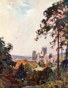 Wells Kathedraal, vanaf de Tor (kleur litho)
