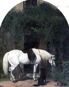 Witte paard en retriever door Alfred Hichens Corbould