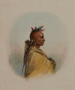 door Alfred Jacob Miller