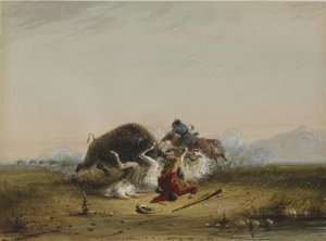  door Alfred Jacob Miller