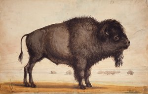 De bries ruiken, ca. 1837 door Alfred Jacob Miller