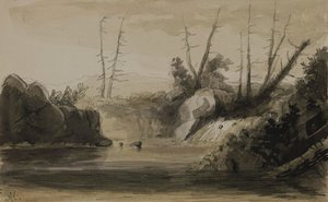Gezicht op een waterval en een klein meer door Alfred Jacob Miller