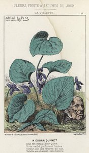 La Violette: Cartoon op Edgar Quinet - ill. van 09/03/1871 in 