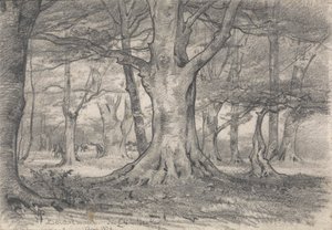 Een boslandschap bij Boldrewood door Alfred Parsons