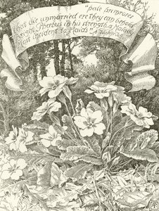 Bleke Sleutelbloemen door Alfred Parsons