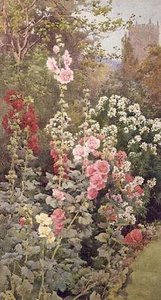 De tuin