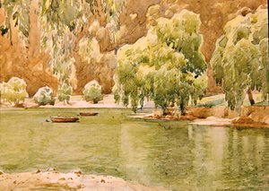 Naini Tal door Alfred Priest