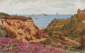 Alum Chine, Bournemouth door Alfred Robert Quinton