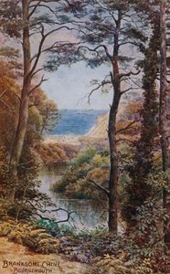 Branksome Chine, Bournemouth door Alfred Robert Quinton