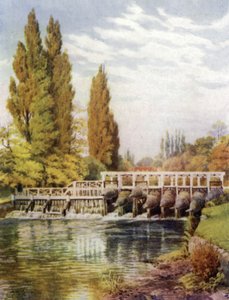 Aalkooien bij Hedsor