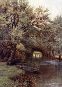 Henneaton Backwater