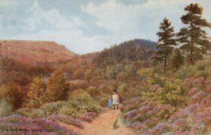 Hindhead door Alfred Robert Quinton