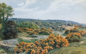 The Common, Tunbridge Wells door Alfred Robert Quinton