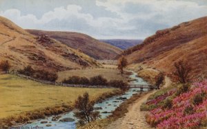 De Doone Glen, Lynton door Alfred Robert Quinton