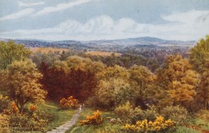 De Gelukkige Vallei, Tunbridge Wells