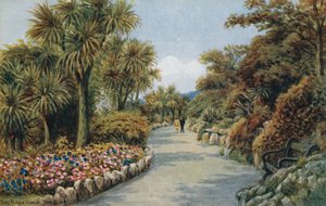 De Rotswandeling, Torquay