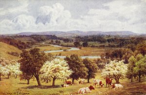 De Vale van Evesham
