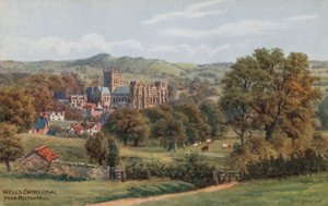 Wells Cathedral, vanaf Milton Hill door Alfred Robert Quinton
