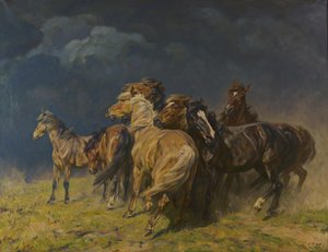 Paarden in een stormachtige wind