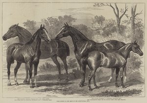 Prijswinnaars op de landbouwtentoonstelling door Alfred Sheldon Williams