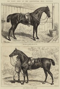 De paardenshow in de Agricultural Hall, Islington