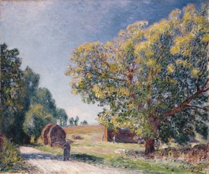 Een Open Plek in een Bos, 1895 door Alfred Sisley