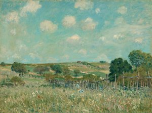 Weide door Alfred Sisley