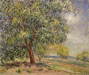 Walnotenboom in Sablons in de lente, 1885