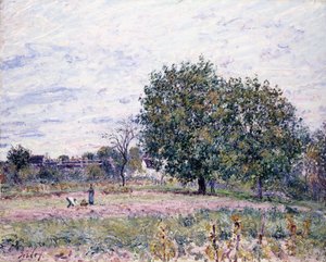 Walnootbomen, Effect van de Ondergaande Zon - Eerste Dag van Oktober, 1882
