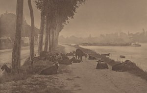 door Alfred Stieglitz