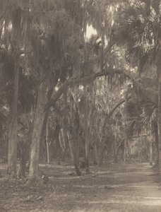 In Rockledge, Florida door Alfred Stieglitz
