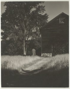 Schuur, Meer George door Alfred Stieglitz