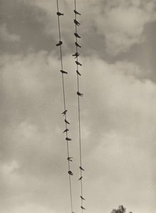  door Alfred Stieglitz