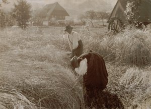  door Alfred Stieglitz