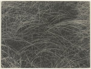 Equivalent, 1927 door Alfred Stieglitz