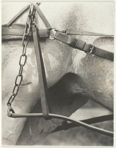 Equivalent, Spiritueel Amerika door Alfred Stieglitz