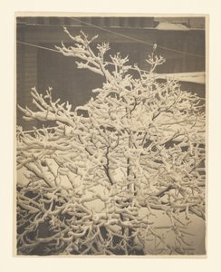  door Alfred Stieglitz