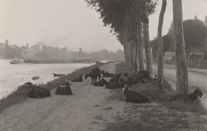  door Alfred Stieglitz