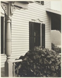 Huis en druivenbladeren, 1934