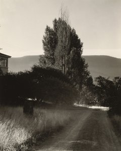  door Alfred Stieglitz