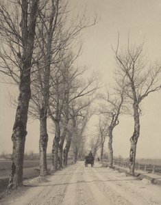  door Alfred Stieglitz